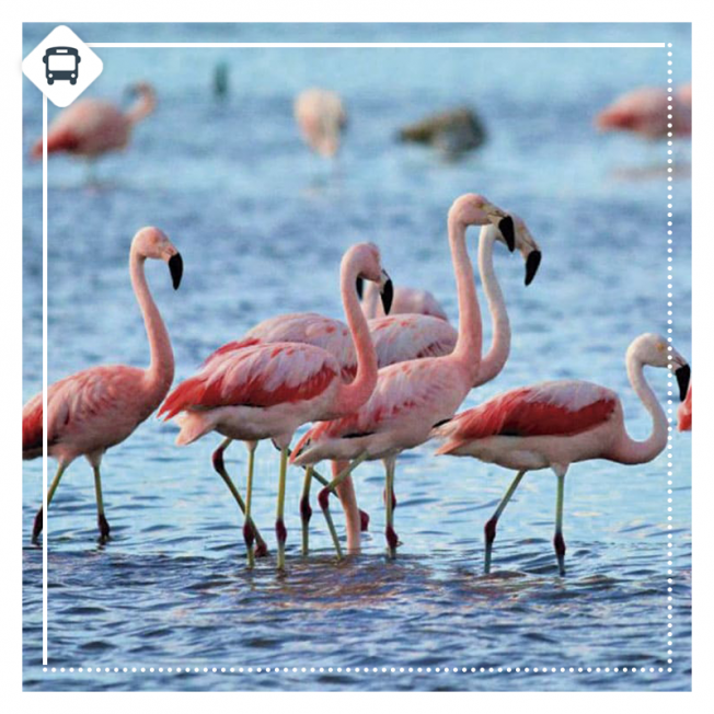 MIRAMAR DE ANSENUZA ¡TODO INCLUIDO!