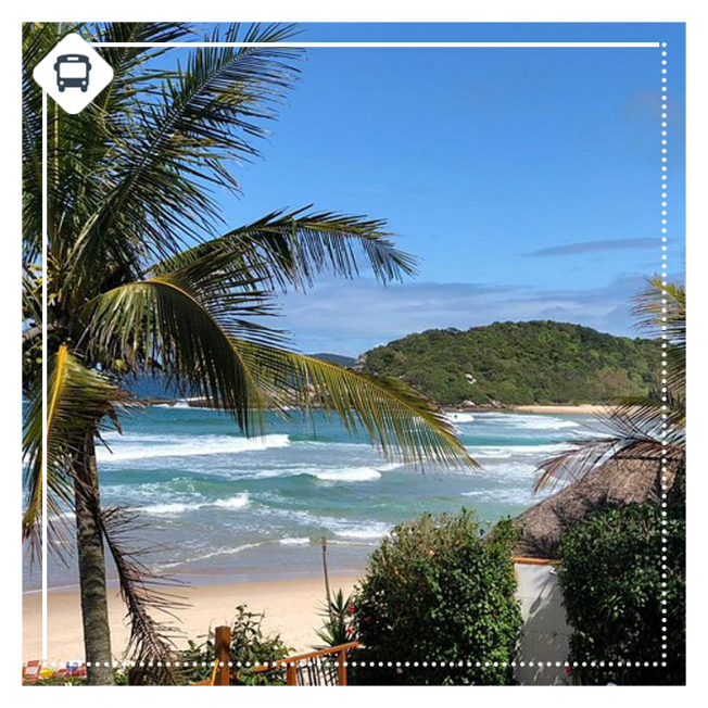 BRASIL | BOMBAS -  BOMBINHAS 2026